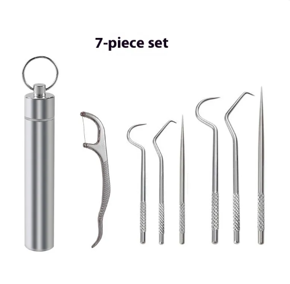 Reusable Toothpick & Dental Pick Set with Travel Case