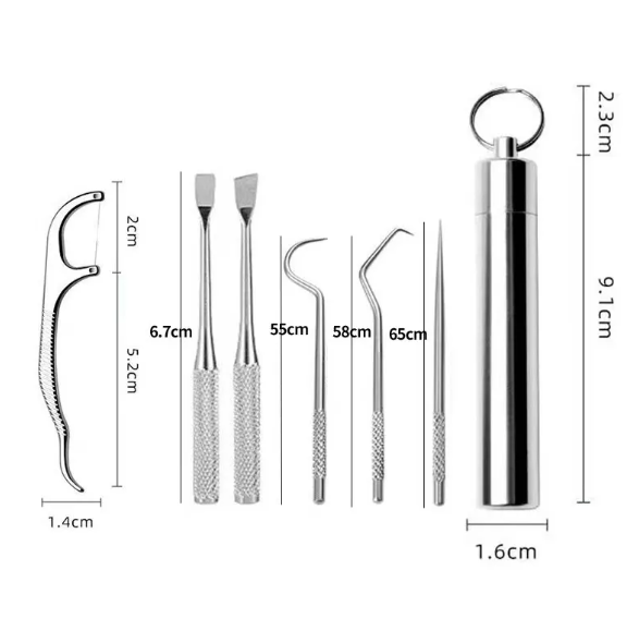 Reusable Toothpick &amp; Dental Pick Set with Travel Case