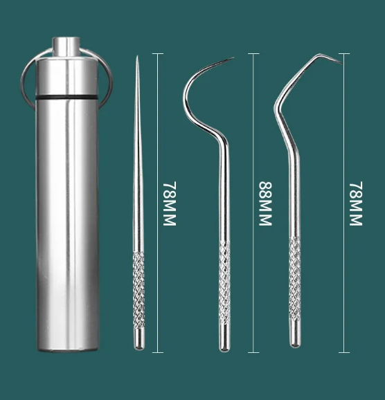 Reusable Toothpick &amp; Dental Pick Set with Travel Case