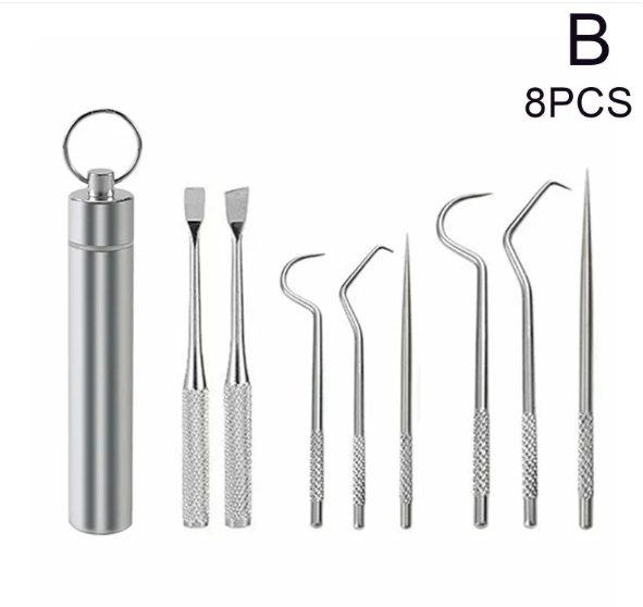 Reusable Toothpick &amp; Dental Pick Set with Travel Case