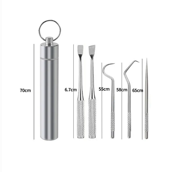 Reusable Toothpick &amp; Dental Pick Set with Travel Case